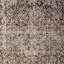 Tapis ivoire / bleu marine tissé à la machine 80% polyester, 20% coton Lauren Ralph Lauren Delwood-71610384