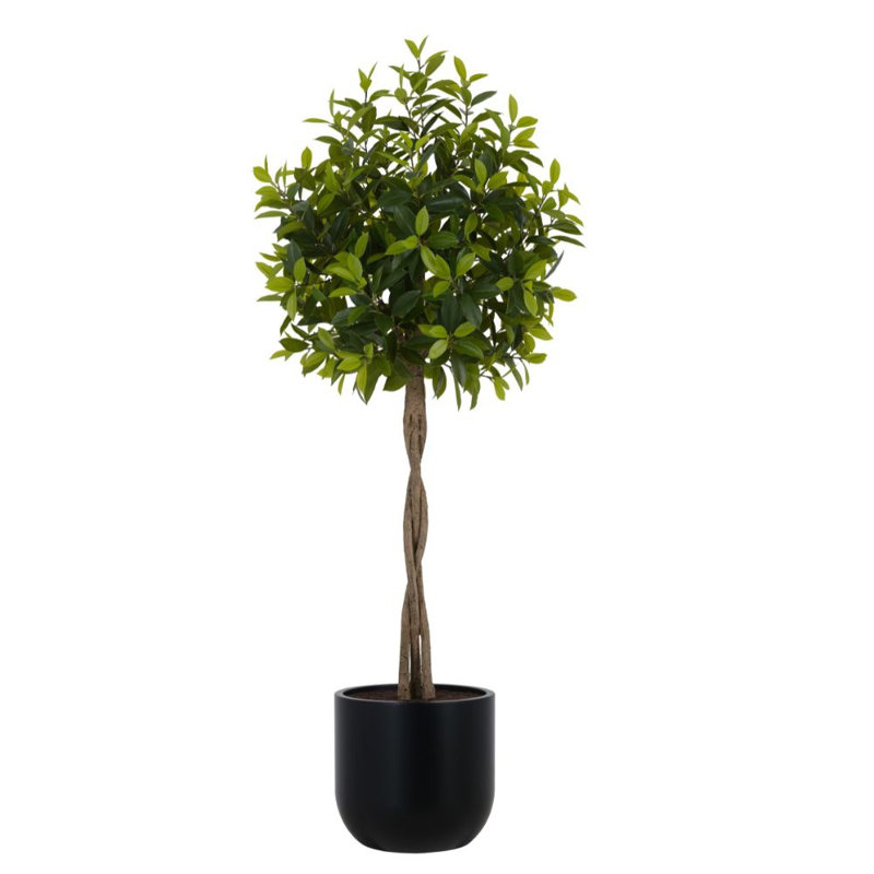 6' Artificial Laurel Tree