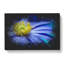 Blue Flower - Wrapped Canvas-61878632