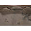 Tapis oriental à motif de teinture végétale Oushak 10