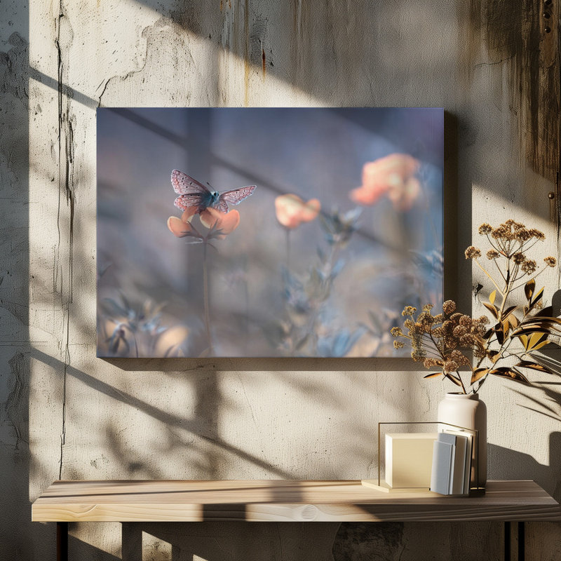 Wrapped Canvas Print, 50.8 cm H x 76.2 cm W