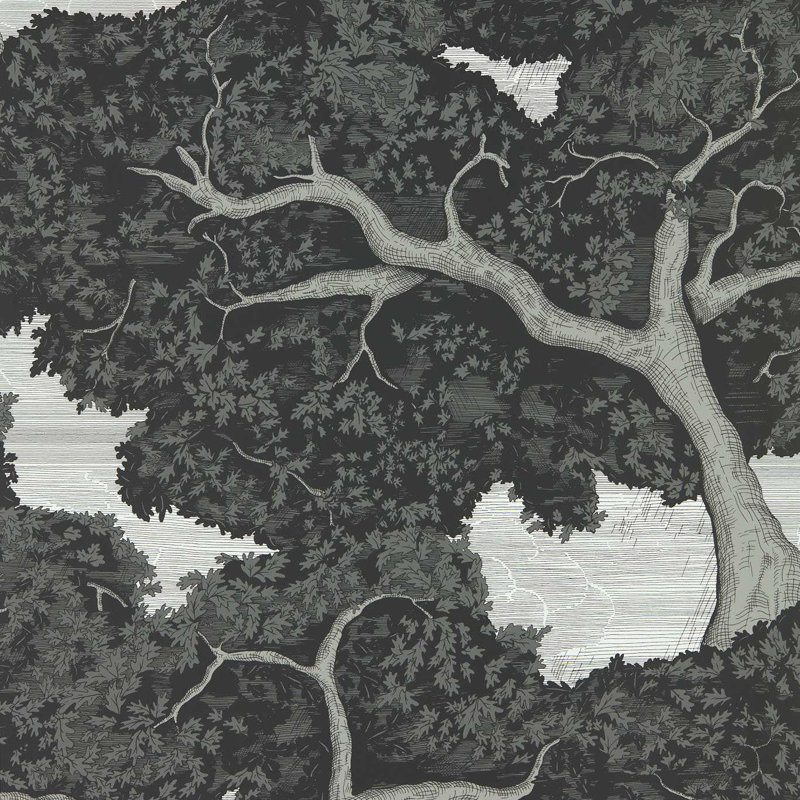 Eternal Oak Wallpaper, Ebony/First Light