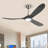 Christela Netrapal Ceiling Fan with LED Lights-119159336
