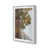 Polished Chrome Single Picture Framed