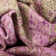 Nile Oriental Area Rug