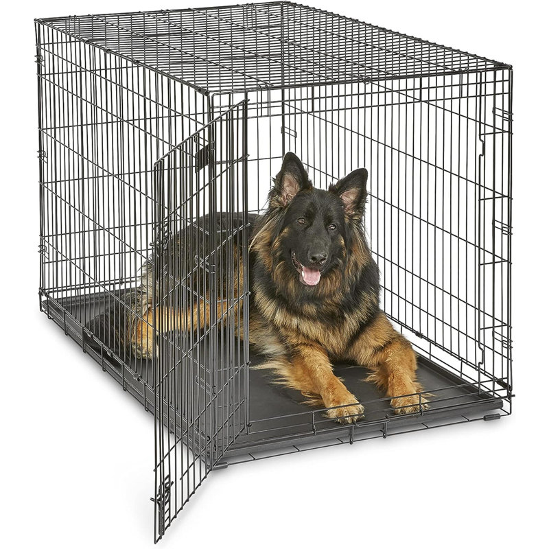 Cage pour chien nouvellement améliorée avec porte simple en Icrate, comprenant un plateau étanche, des pieds de protection du plancher, un panneau de séparation et de nouvelles caractéristiques brevetées