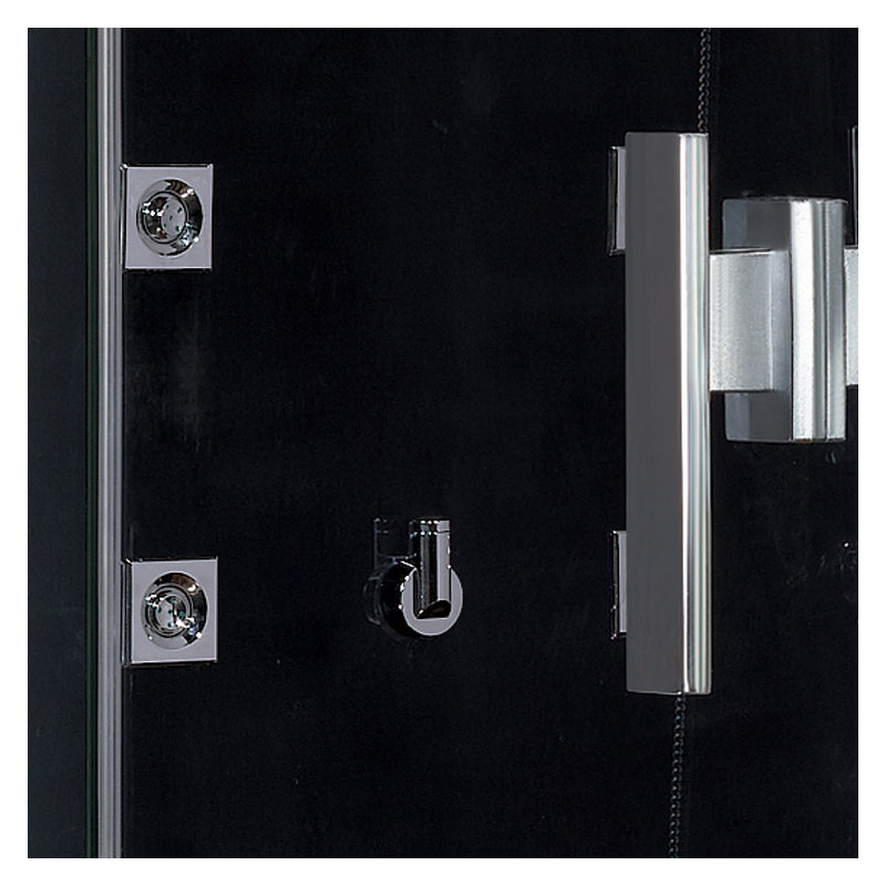 Platinum Steam Shower