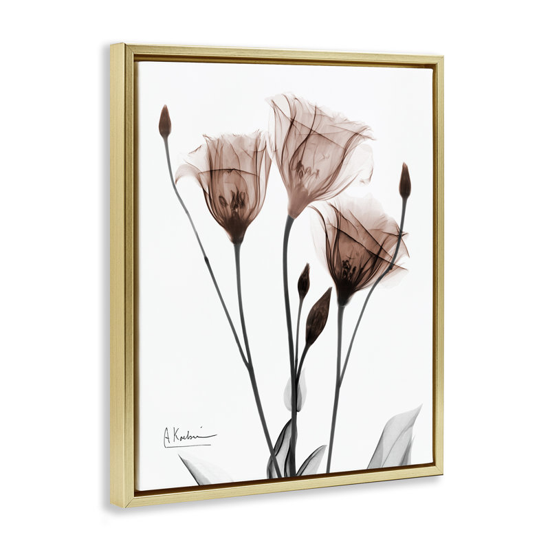 Impression sur toile Minimal Translucent Tulips, design par Albert Koetsier, H 21 po x l 17 po