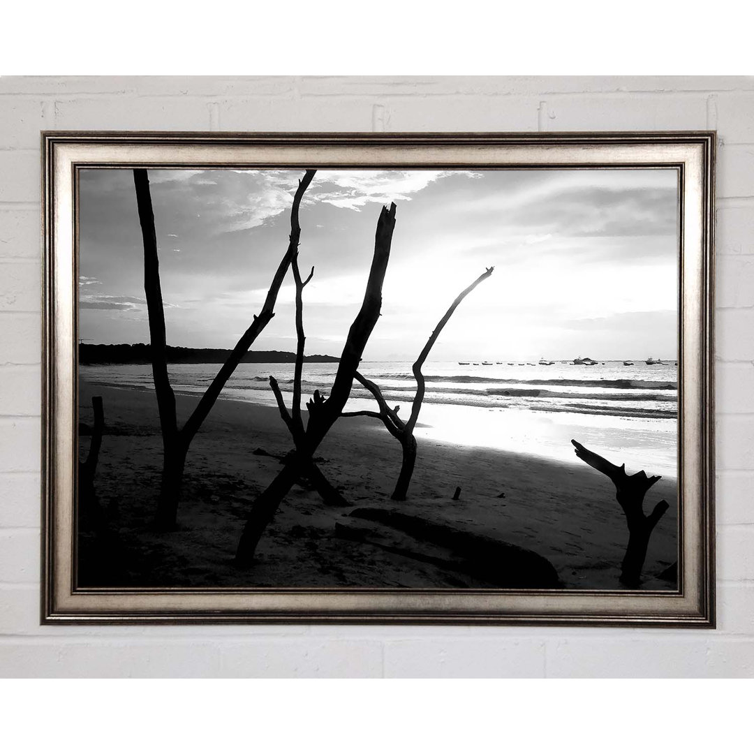 Gerahmtes Poster Driftwood Beach B N W