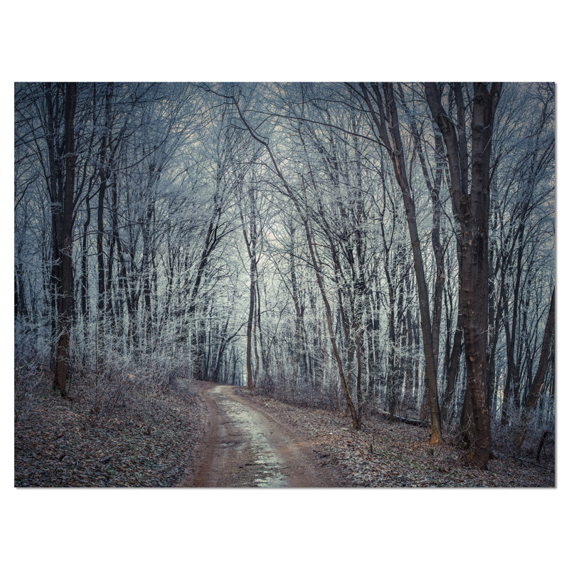 « densed gray automne forest path », reproduction de photo sur toile tendue, H 30 po x l 40 po x P 1 po