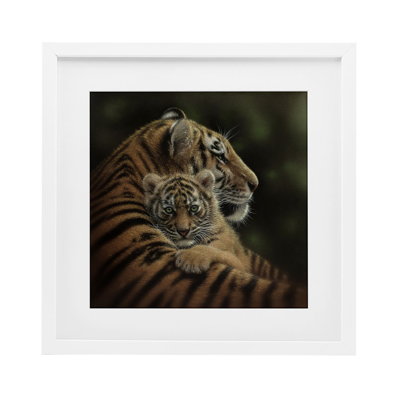 «Cheried Tiger Cub», reproduction encadrée sous verre, conception de Collin Bogle, H 13 po x l 13 po, Cadre blanc côtier