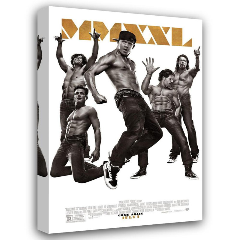 Magic Mike XXL, H 24 po x l 16 po