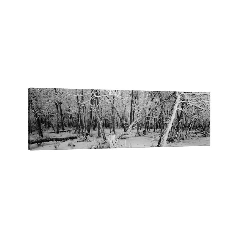 Snow Covered Trees In A Forest, Alberta, Canada - Wrapped Canvas Panoramic Print, 121.92 cm H x 40.64 cm W x 1.91 cm D