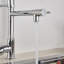 Belfry Kitchen Valdez Pull Out Kitchen Faucet