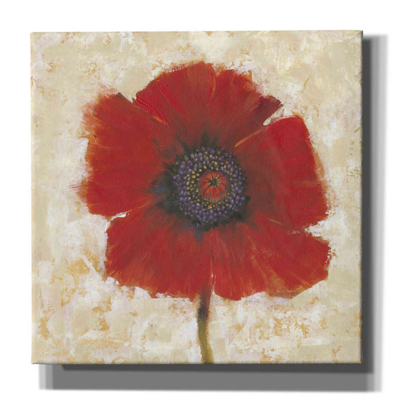 «Red Poppy Portrait II» par Tim O'toole, art mural sur toile, H 26 po x l 26 po x P 1,5 po