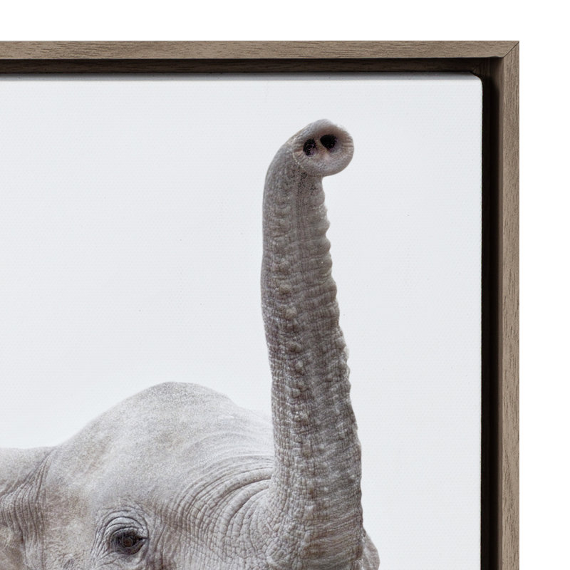'Safari Animals' by Amy Peterson - Floater Frame Graphic Art Print on Canvas, Gray
