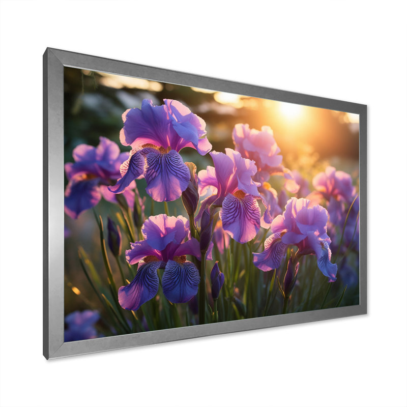 " Purple Irises Field With Sunset III ", 12" H x 20" W x 1" D, Silver Single Picture Framed