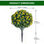 Arrangement-1656741977