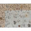 One-of-a-Kind 9'1" X 12'3" Area Rug