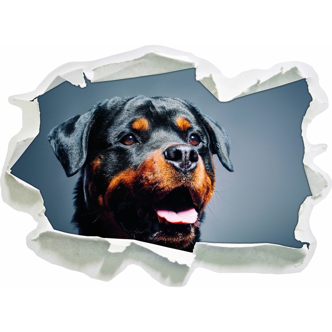 Loyaler Rottweiler Wandaufkleber