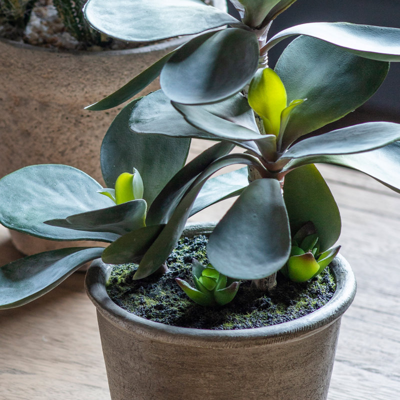 15cm Faux Kalanchoe Pale Succulent in Pot