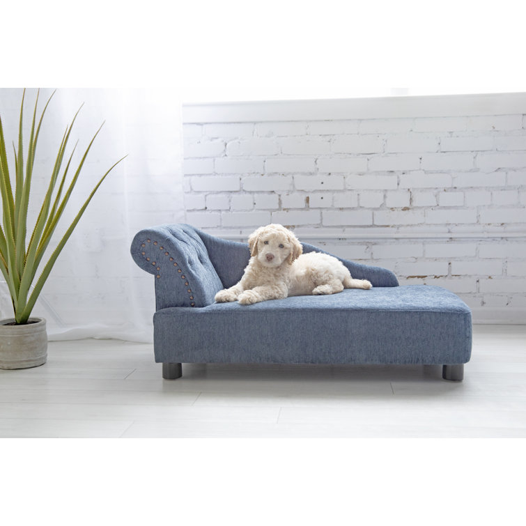 sofa furniture wayfair dog couch