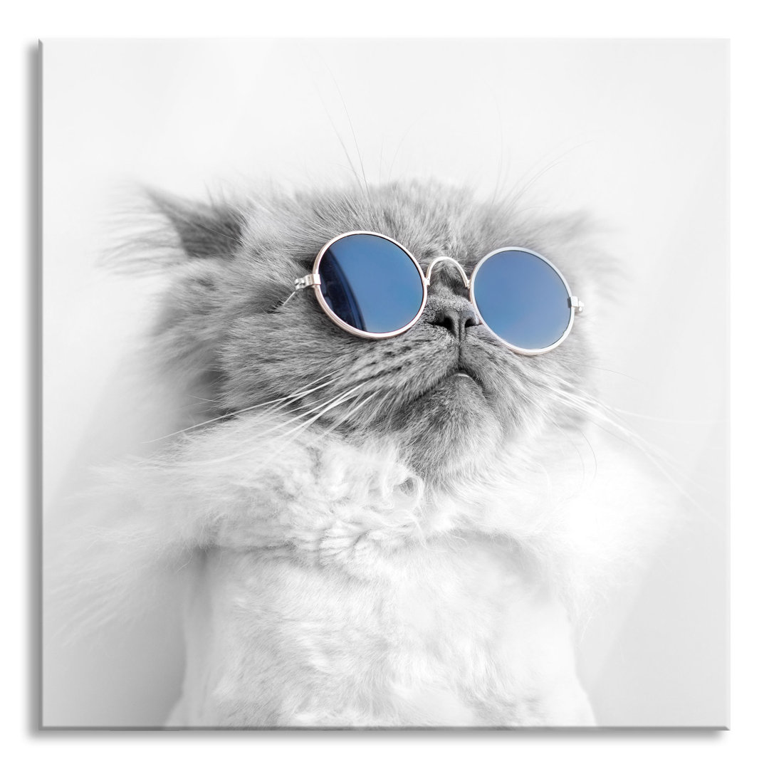 Glasbild Coole Katze mit runder Sonnenbrille