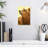 Brampt Cute Bear I-108433649