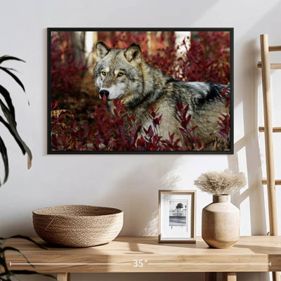Loup caché
