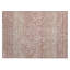Tapis intérieur / extérieur Bhavya-1654524998
