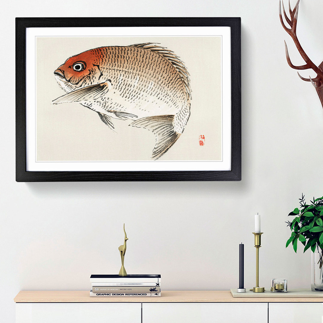 Red Seabream Fish by Kono Bairei - Picture Frame Painting Print