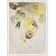 Earthen Jewels 2 Print-303759567