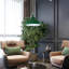 Paterson 1 - Light Pendant-1414336645