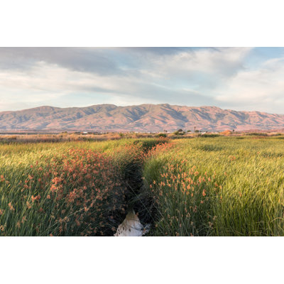 Alviso Wetlands And Diablo Mountain Range by Yhelfman - Wrapped Canvas Print