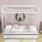 Delf Twin Platform Bed with Trundle