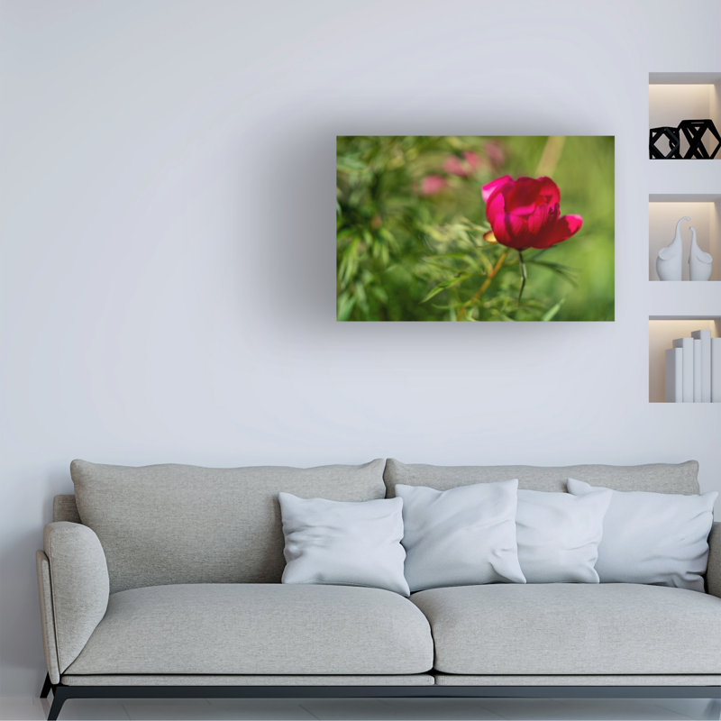 «Bolus Suzanne Bonin», art sur toile résilient, H 12 po x l 19 po