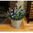 Chessani Indoor / Outdoor Pot Planter