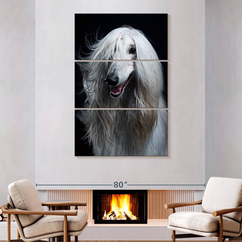 Brampt Long Haired Afghan Hound, 74" H x 48" W
