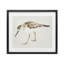 Sandpiper Shore Bird-1501660697-1501660695