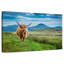 Brampt Skye Highland Cow-108815818