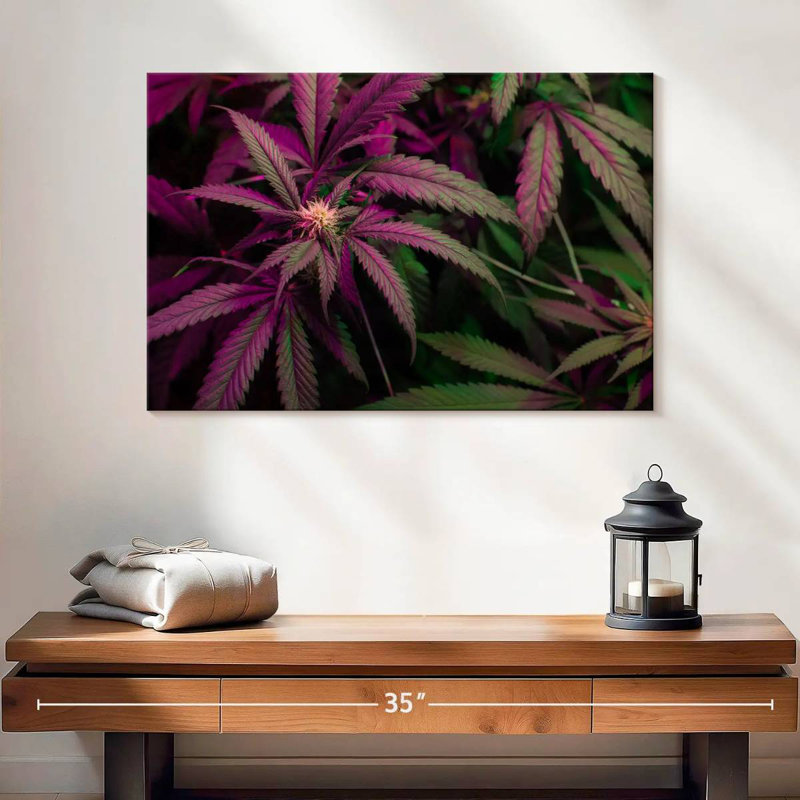 Lavander Marijuana, 16" H x 24" W