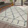 Sierra Geometric Shag Area Rug