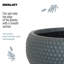 Concrete Effect Bowl Planter, Frostproof Outdoor Plant Pot, Garden Planter with Drainage Holes, Bonsai Pot, Green Grey Shallow Planter with Honeycomb Pattern-2053558546