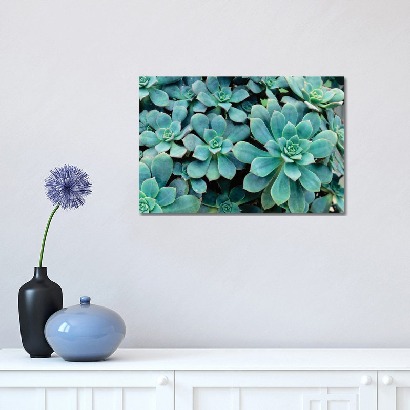 Close-Up of Plants, Buffalo and Erie County Botanical Gardens, South Park, Buffalo, New York, USA 1 Piece Wrapped Canvas Wall Art