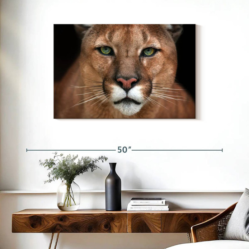 Crowle Staring Puma, 24" H x 36" W