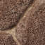 Noble House area rug Hand Tufted Rectangle Beige-2100046225