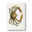 Spider Crab by J.E. De Kay - Wrapped Canvas Painting-55318781