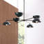 Evansville Chandelier