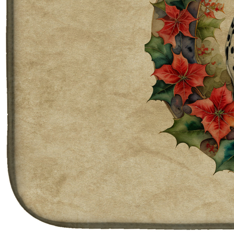 Drying Mat