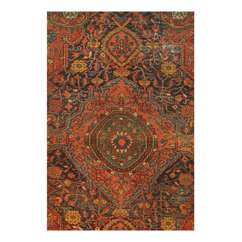 Mahiya Cotton Oriental Area Rug in Rust